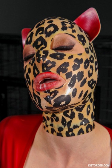 Obey The Kitty Starring Latex Lucy 17