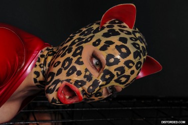 Obey The Kitty Starring Latex Lucy 9